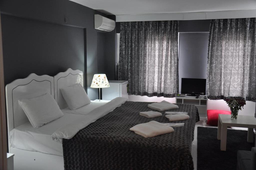 Aristo Galata Suites 이스탄불 객실 사진
